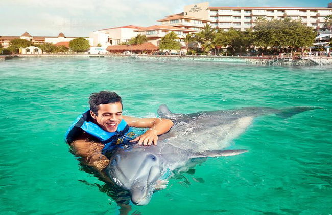 Incontro con i delfini a Puerto Aventuras - Foto 4